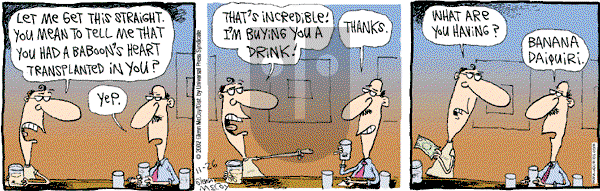 The Duplex on Tuesday November 26, 2002 Comic Strip