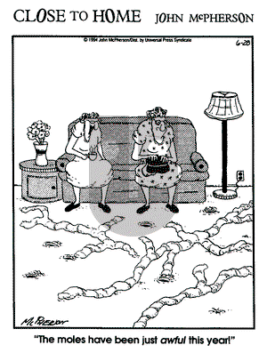 Close to Home on Wednesday May 21, 1997 Comic Strip