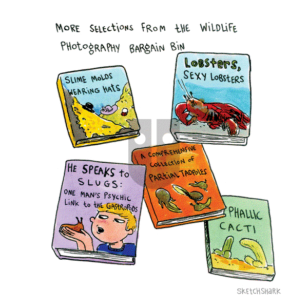 Sketchshark Comics on Monday October 26, 2020 Comic Strip
