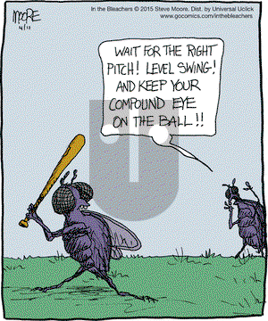 In the Bleachers on Saturday April 11, 2015 Comic Strip