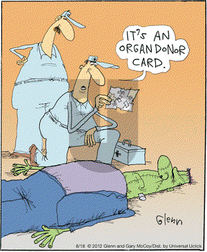 The Flying McCoys on Saturday August 18, 2012 Comic Strip