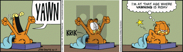 Garfield on Saturday June 17, 2017 Comic Strip