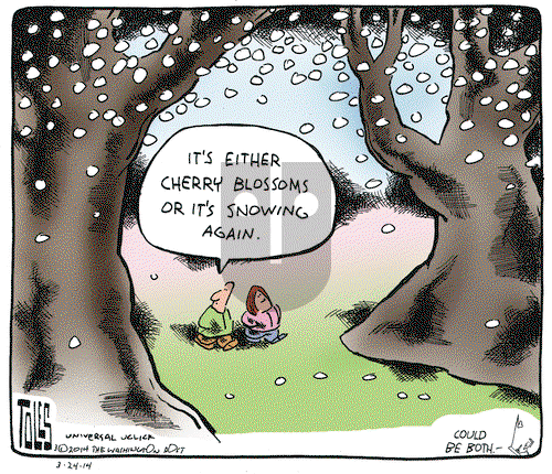 Tom Toles on Monday March 24, 2014 Comic Strip