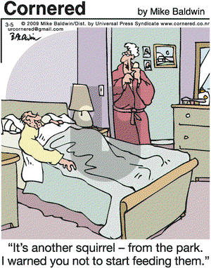 Cornered on Thursday October 22, 2009 Comic Strip
