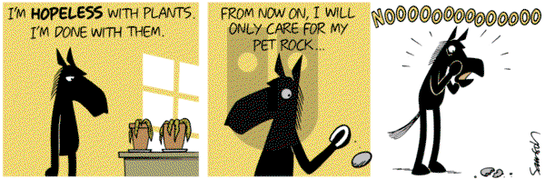 Dark Side of the Horse on Saturday March 23, 2019 Comic Strip
