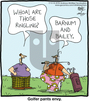 In the Bleachers on Friday July 13, 2018 Comic Strip