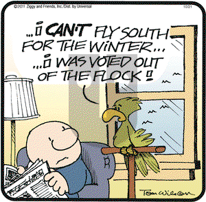 Ziggy on Friday October 21, 2011 Comic Strip