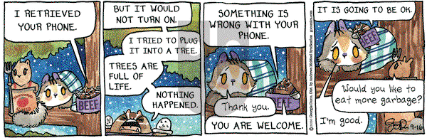 Breaking Cat News on Wednesday September 16, 2020 Comic Strip
