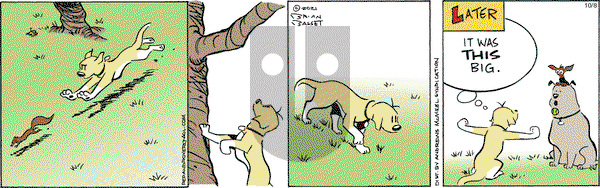 Red and Rover - Tuesday October 8, 2024 Comic Strip