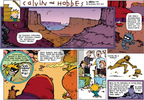 Calvin and Hobbes on Sunday June 27, 1993 Comic Strip