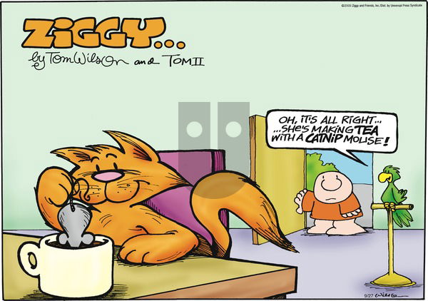 Ziggy on Sunday September 27, 2009 Comic Strip
