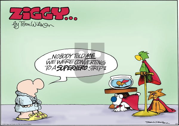 Ziggy on Sunday February 2, 2020 Comic Strip