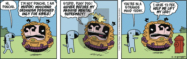 Pooch Cafe - Wednesday June 19, 2024 Comic Strip