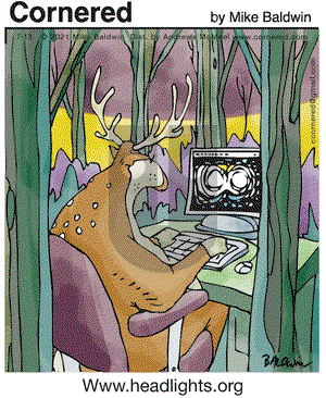 Cornered on Tuesday July 13, 2021 Comic Strip
