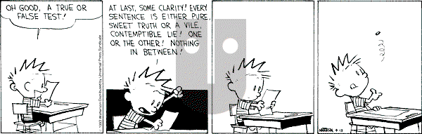 Calvin and Hobbes - Tuesday April 13, 1993 Comic Strip