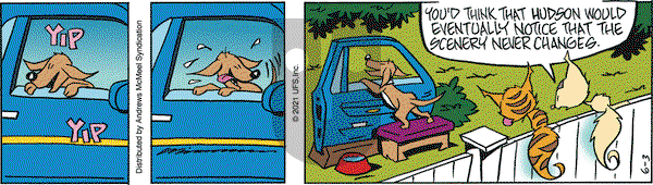Rose is Rose on Thursday June 3, 2021 Comic Strip