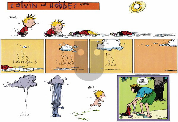 Calvin and Hobbes on Sunday June 1, 2025 Comic Strip