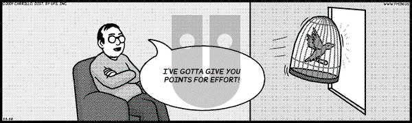 F Minus on Tuesday November 10, 2009 Comic Strip