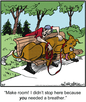 Marmaduke on Tuesday July 17, 2012 Comic Strip