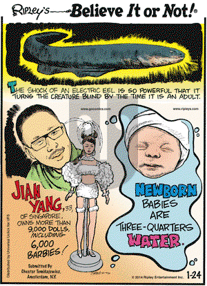 Ripley's Believe It or Not on Friday January 24, 2014 Comic Strip