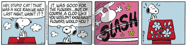 Peanuts on Tuesday April 15, 2025 Comic Strip