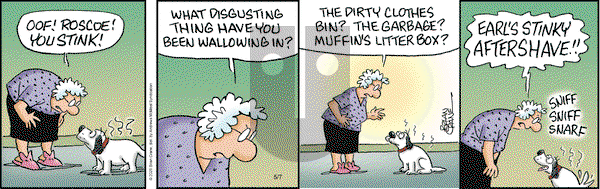 Pickles on Wednesday May 7, 2025 Comic Strip