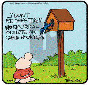 Ziggy on Monday November 5, 2007 Comic Strip