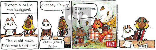 Breaking Cat News - Monday September 3, 2018 Comic Strip