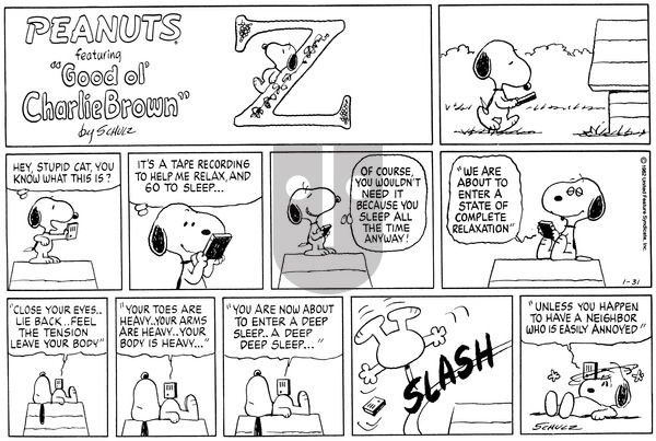 Peanuts on Sunday January 31, 1982 Comic Strip