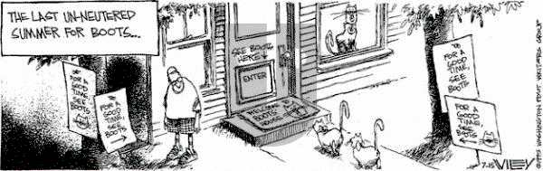 Non Sequitur on Saturday July 15, 1995 Comic Strip
