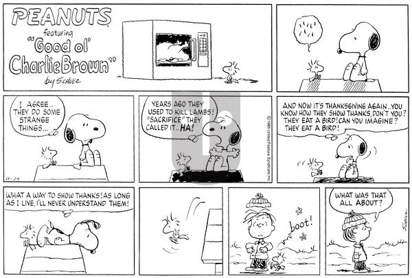 Peanuts on Sunday November 24, 1985 Comic Strip