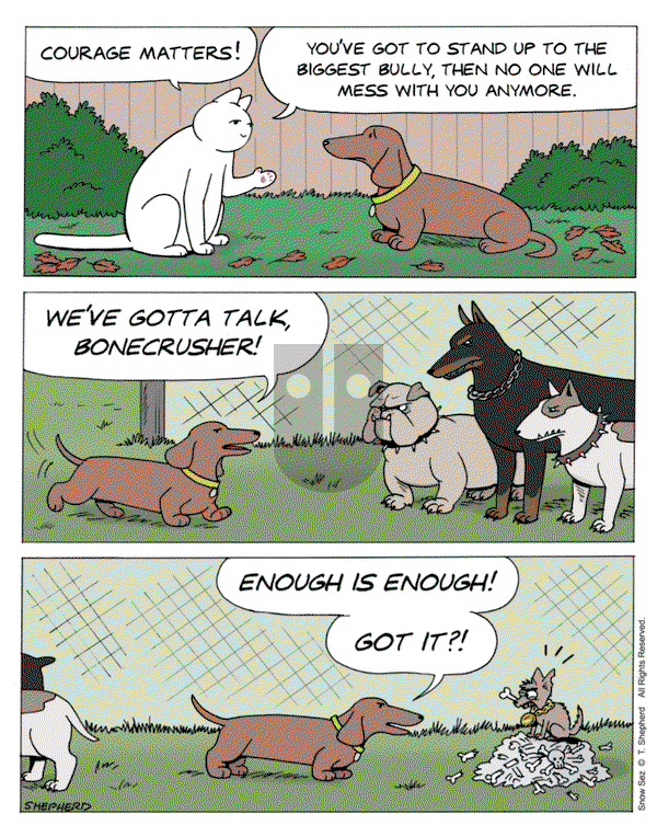 Snow Sez on Monday September 29, 2025 Comic Strip