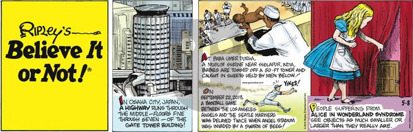 Ripley's Believe It or Not on Sunday May 8, 2016 Comic Strip