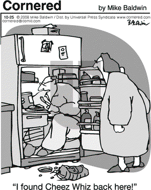 Cornered on Saturday October 25, 2008 Comic Strip