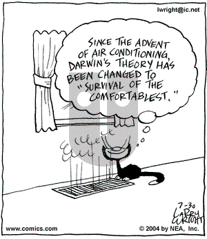 Kit 'N' Carlyle on Friday July 30, 2004 Comic Strip
