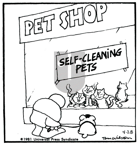 Ziggy - Tuesday April 28, 1981 Comic Strip
