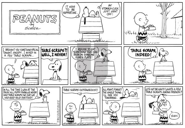 Peanuts on Sunday December 5, 1965 Comic Strip