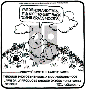 Ziggy on Monday August 26, 1991 Comic Strip