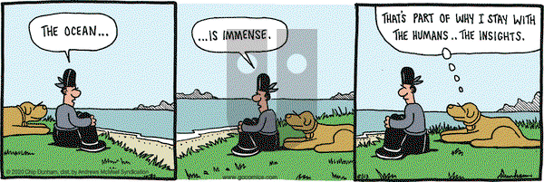 Overboard on Saturday June 13, 2020 Comic Strip