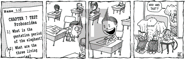 Lio on Monday January 28, 2019 Comic Strip