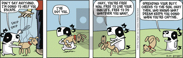 Pooch Cafe - Thursday August 29, 2024 Comic Strip