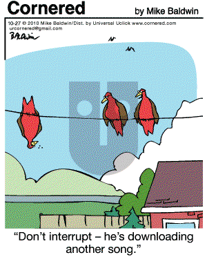 Cornered - Wednesday October 27, 2010 Comic Strip