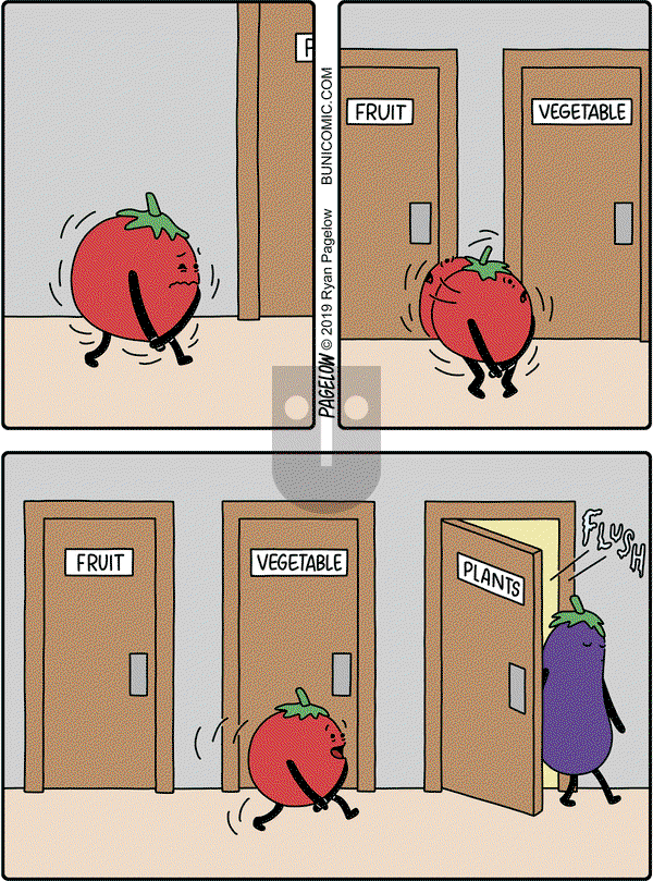 Buni on Wednesday February 20, 2019 Comic Strip
