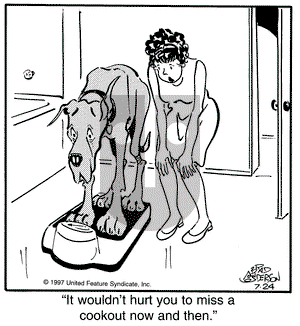 Marmaduke on Thursday July 24, 1997 Comic Strip