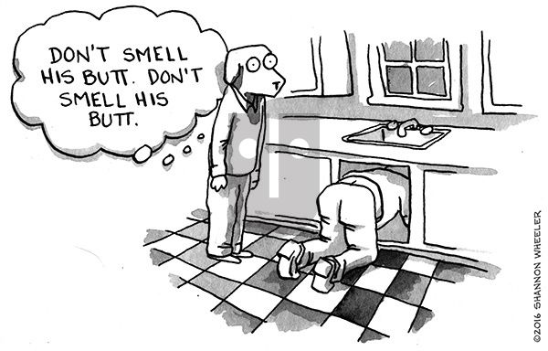 Too Much Coffee Man on Wednesday June 11, 2025 Comic Strip