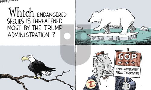 Robert Ariail on Sunday August 18, 2019 Comic Strip