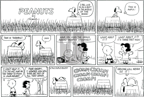 Peanuts - Sunday June 24, 1962 Comic Strip