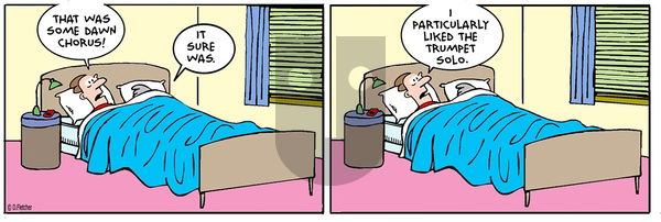 Crumb on Wednesday November 5, 2025 Comic Strip