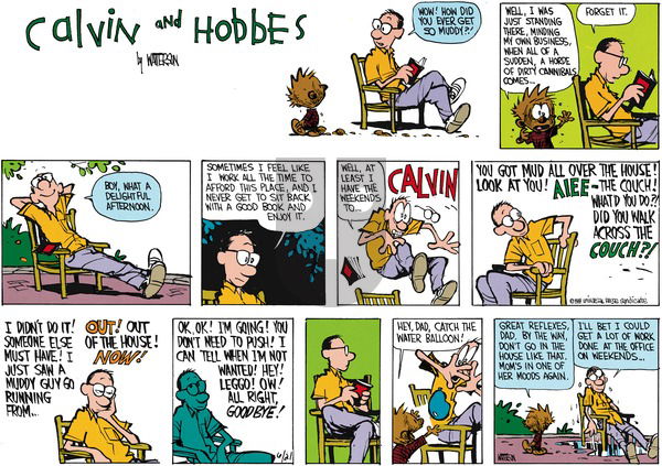 Calvin and Hobbes on Sunday July 31, 1988 Comic Strip