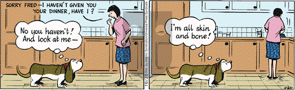 Fred Basset - Tuesday October 20, 2009 Comic Strip